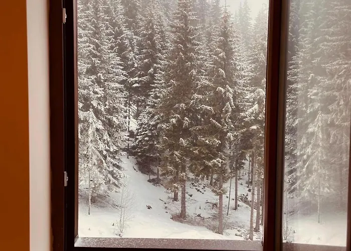 Apartment Harmony, *