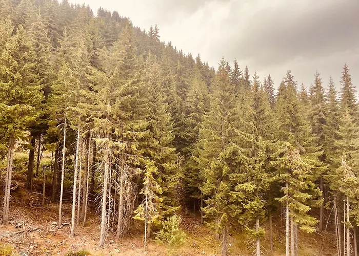 Harmony, Apartment Pamporovo